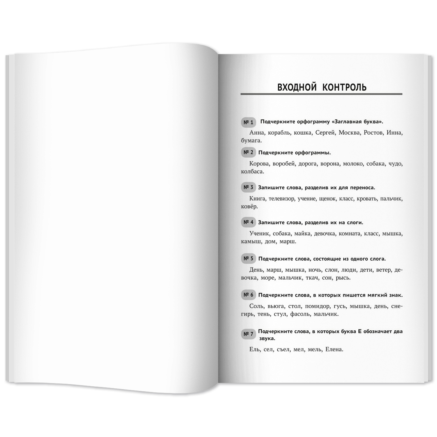 Тренировочн. Диктанты. Русский язык Феникс Книга - фото 10