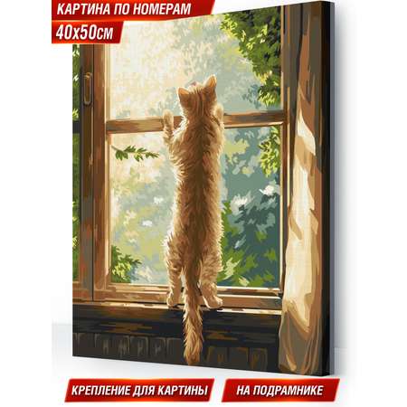 Картина по номерам Hobby Paint В поисках солнечных зайчиков в ассортименте