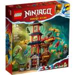 Конструктор LEGO NINJAGO 71795 1029 дет.