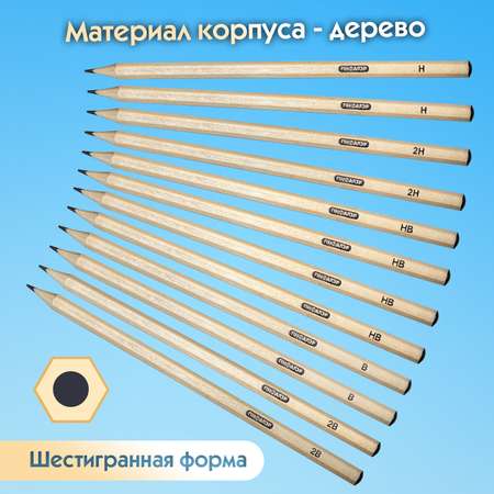 Карандаши чернографитные Пифагор 12 шт.