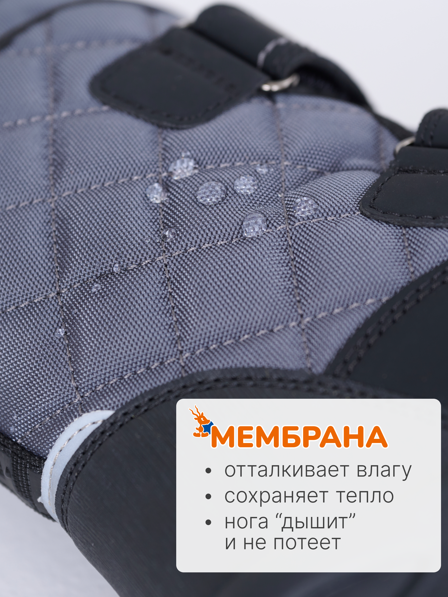 Сапоги Antilopa AL 12759 - фото 10