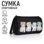 Спортивная сумка NAZAMOK Котята в шапках плечевая