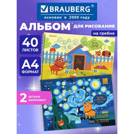 Альбом Brauberg А4 40 лист. 2 шт.