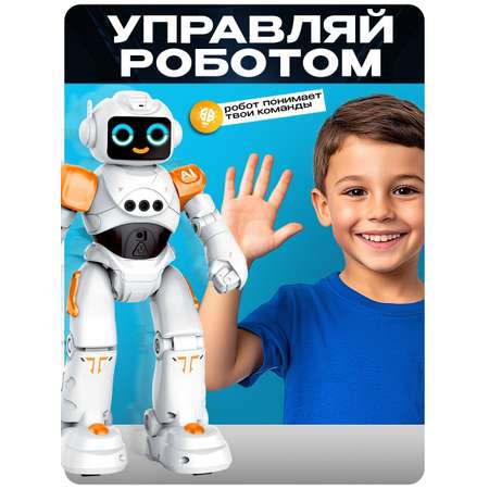 РУ IQ BOT