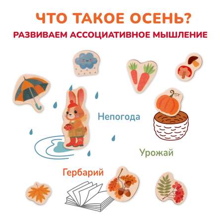 Игрушка Mapacha сортер