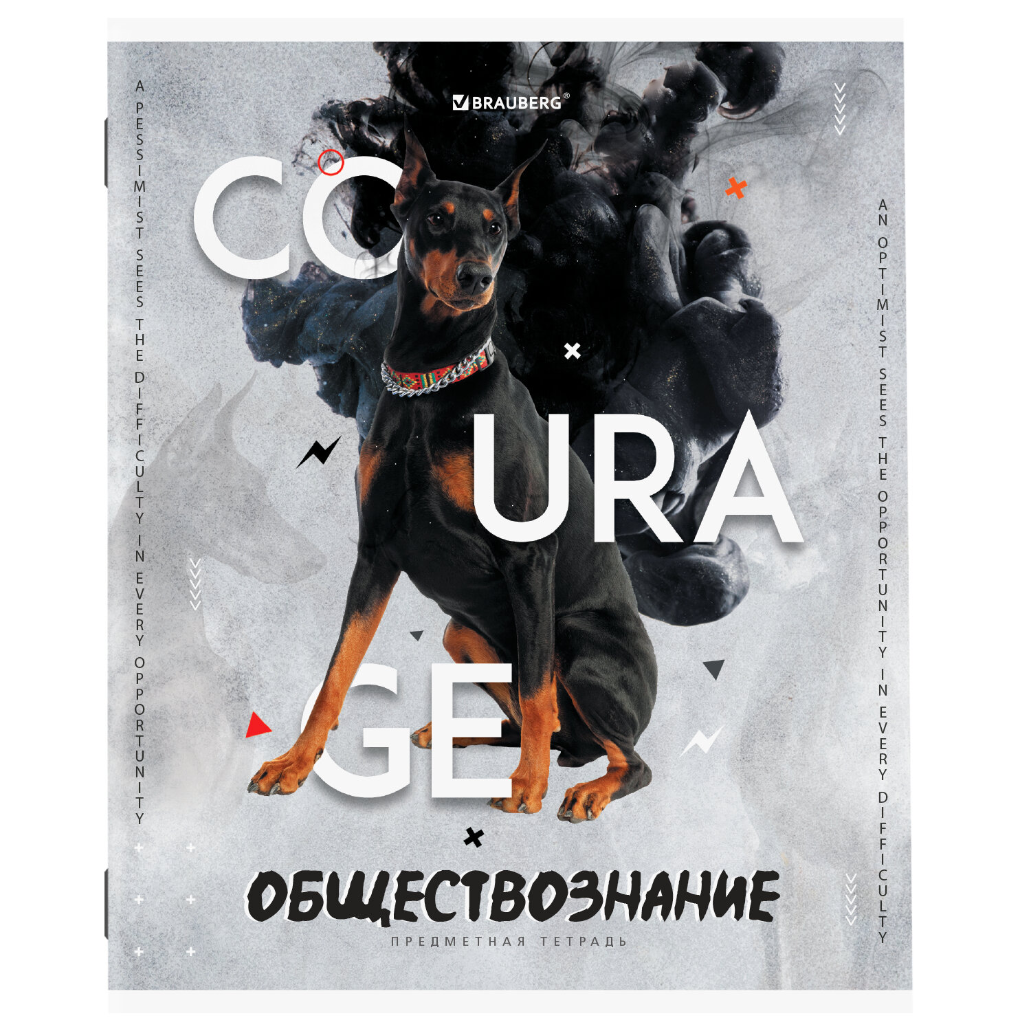 Тетрадь Brauberg 48 лист. 12 шт. - фото 11