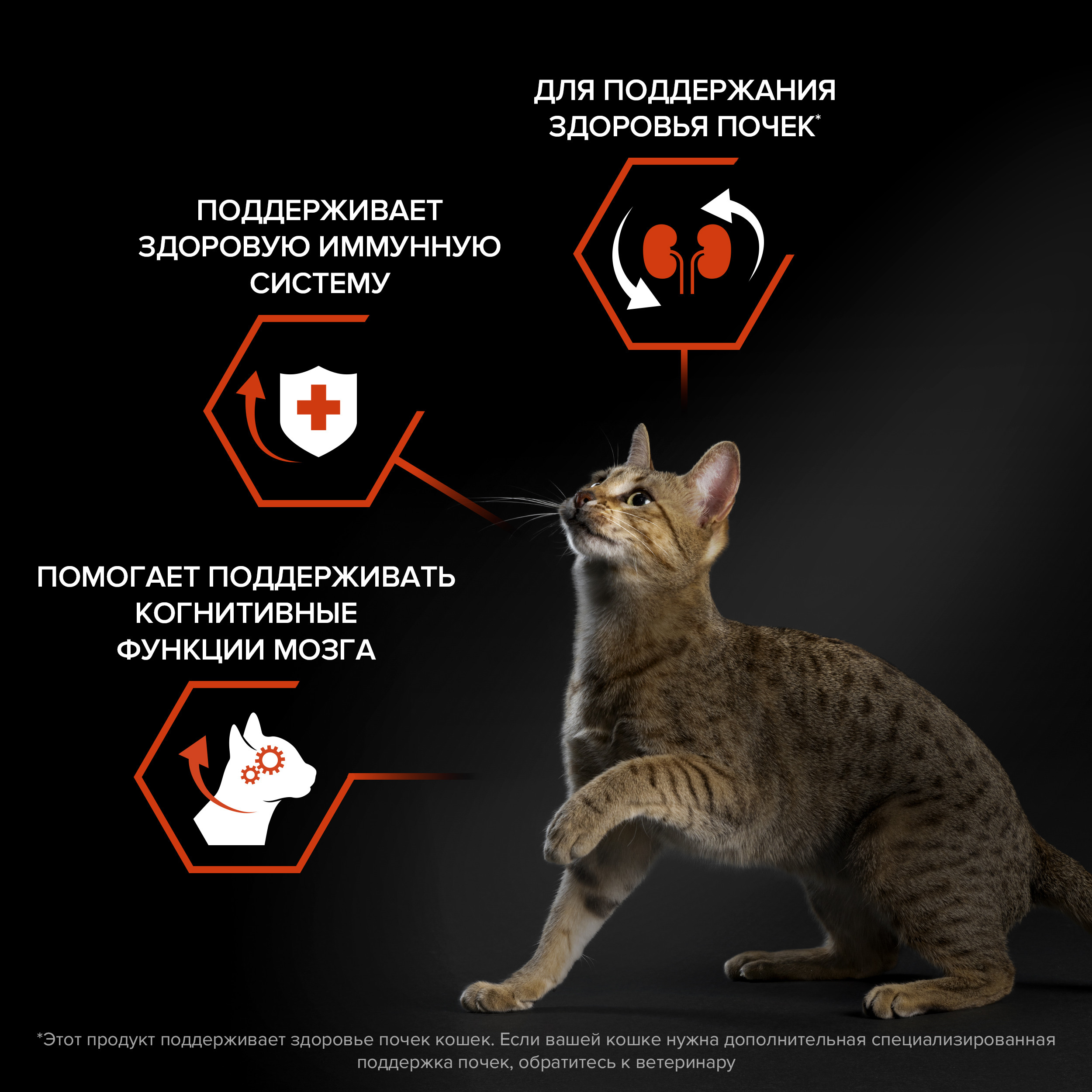 Корм сухой для кошек PRO PLAN VITAL FUNCTIONS 400г с лососем - фото 3