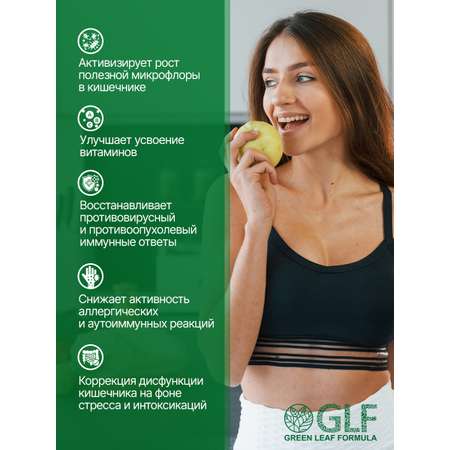 Метабиотик и витамины В Green Leaf Formula комплекс пробиотиков для кишечника