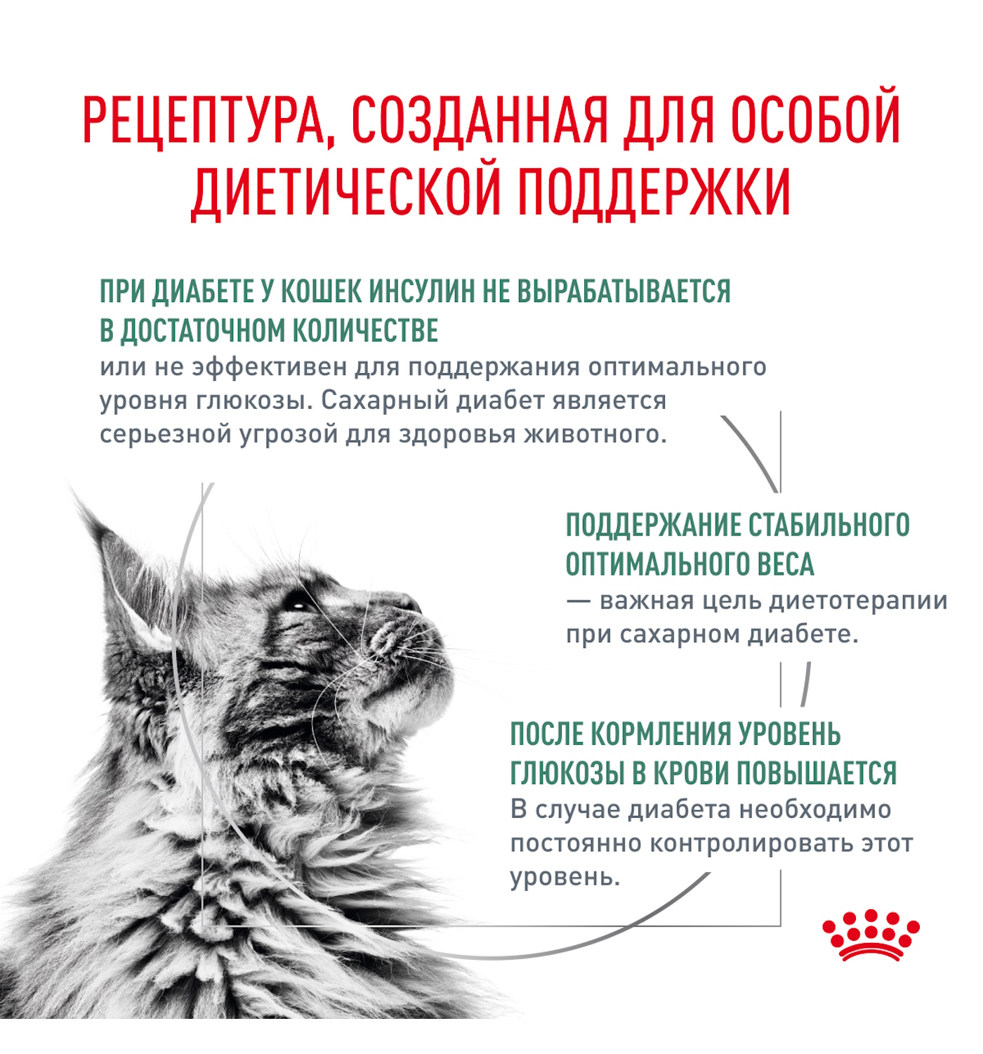 Корм для кошек ROYAL CANIN Diabetic при сахарном диабете 350г - фото 3