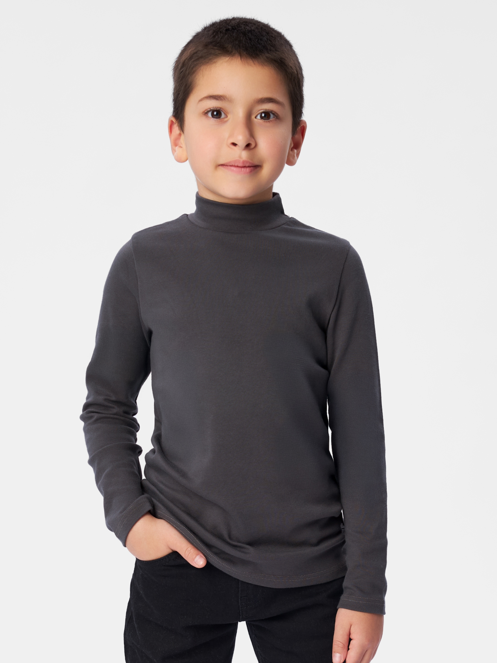 Водолазка Bossa Nova 212Ш-227 - фото 1