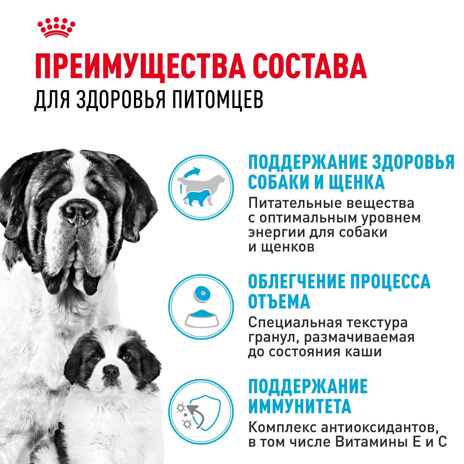 Корм для щенков ROYAL CANIN Starter очень крупных пород 15кг - фото 3