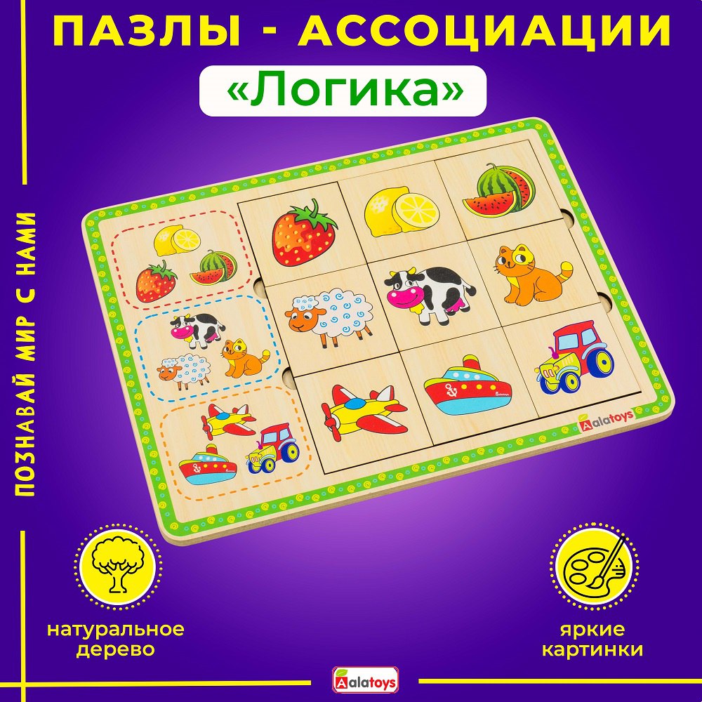 Игрушка Alatoys сортер Найди пару в ассортименте - фото 1