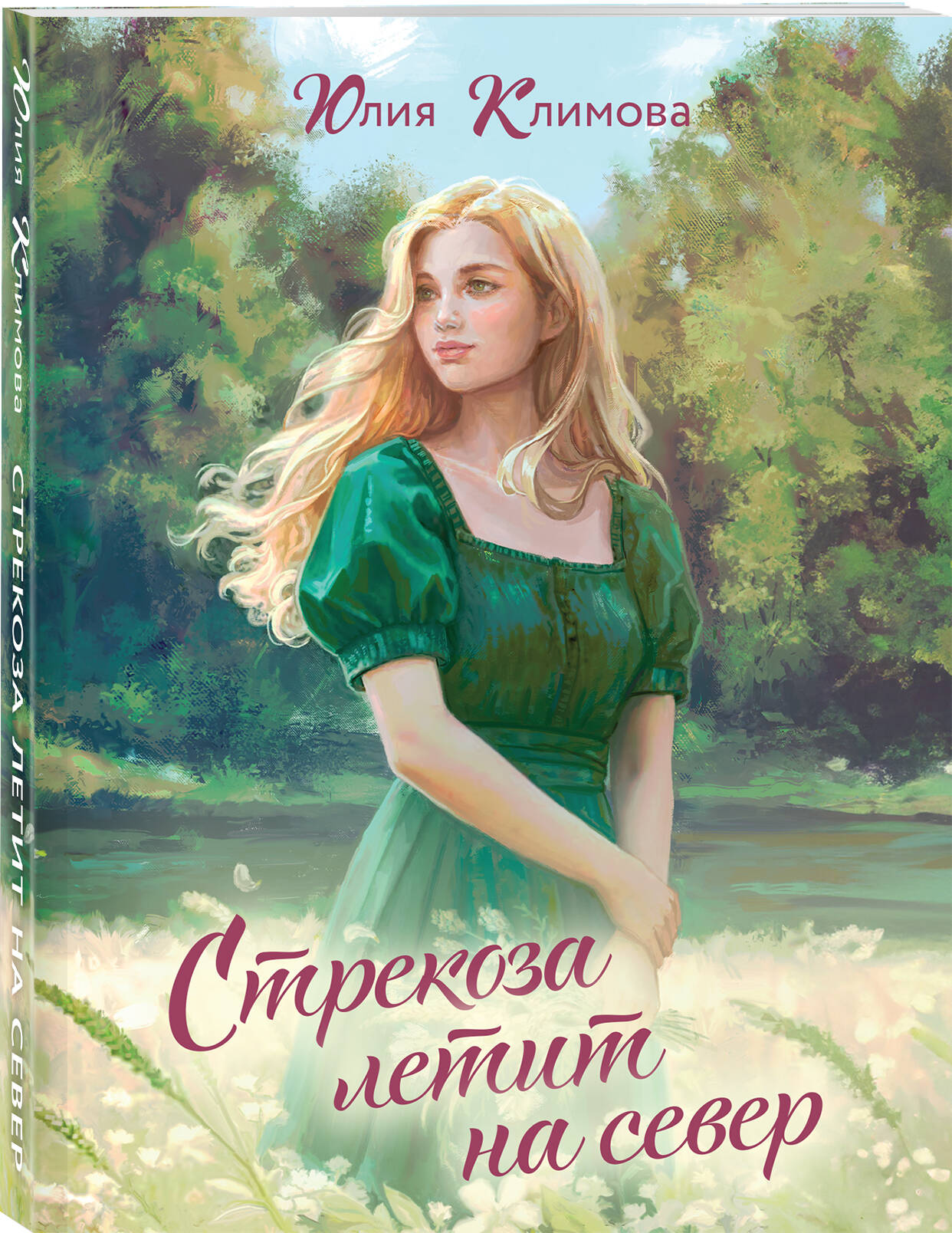 Книга Эксмо Стрекоза летит на север - фото 1