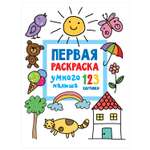 Книга АСТ Первая раскраска умного малыша 123 картинки