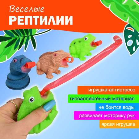 Сквиш Ball Masquerade