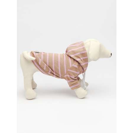 Толстовка для собак PIFPAF DOG