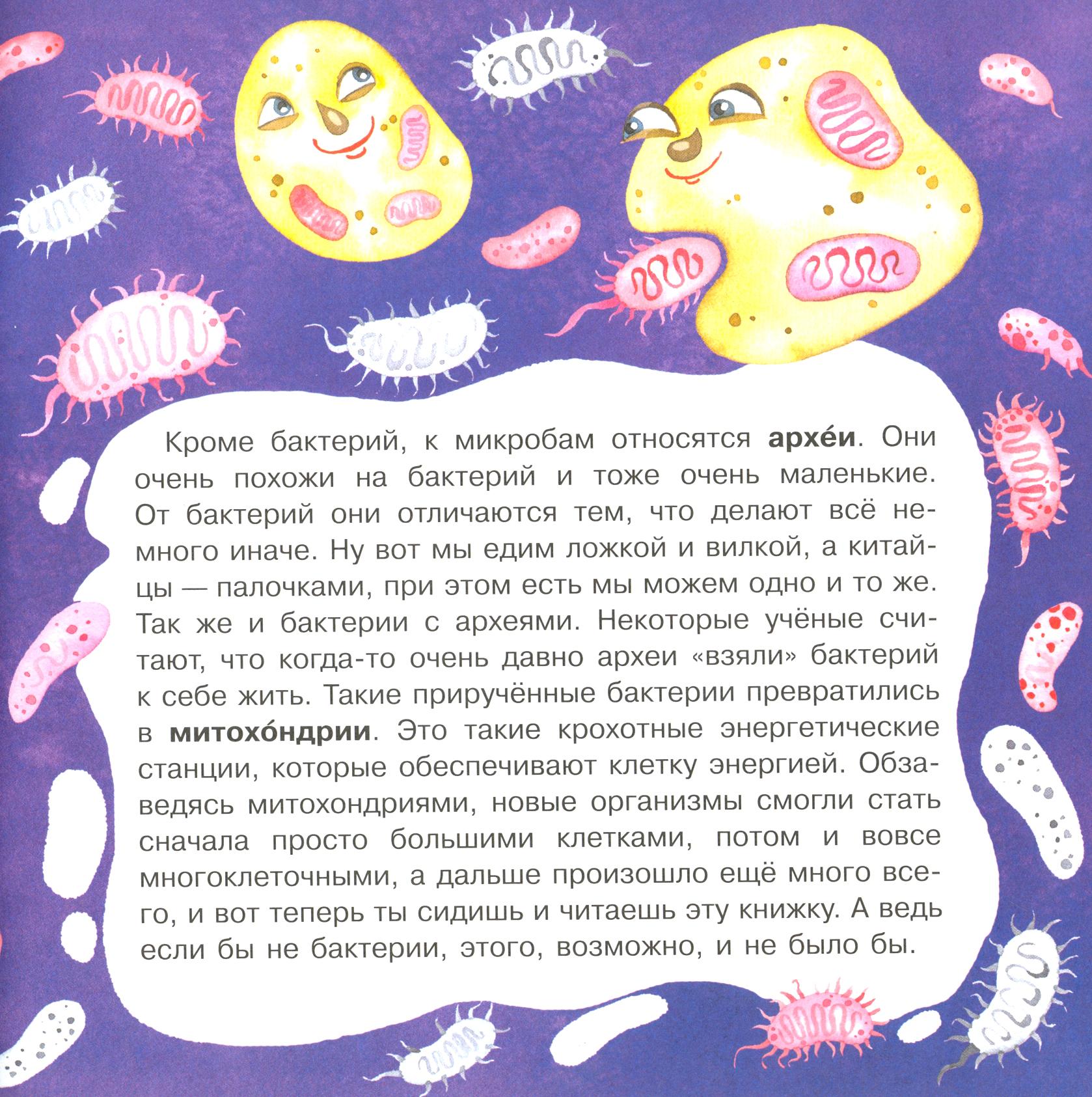 Книга Качели Микробы соседи-невидимки - фото 2