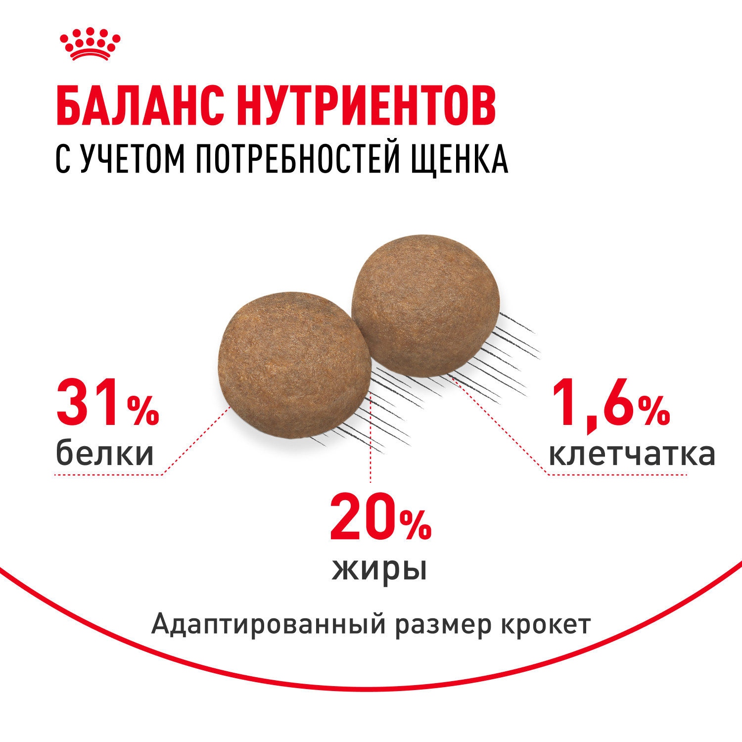 Корм для щенков ROYAL CANIN Puppy мелких пород 2кг - фото 4