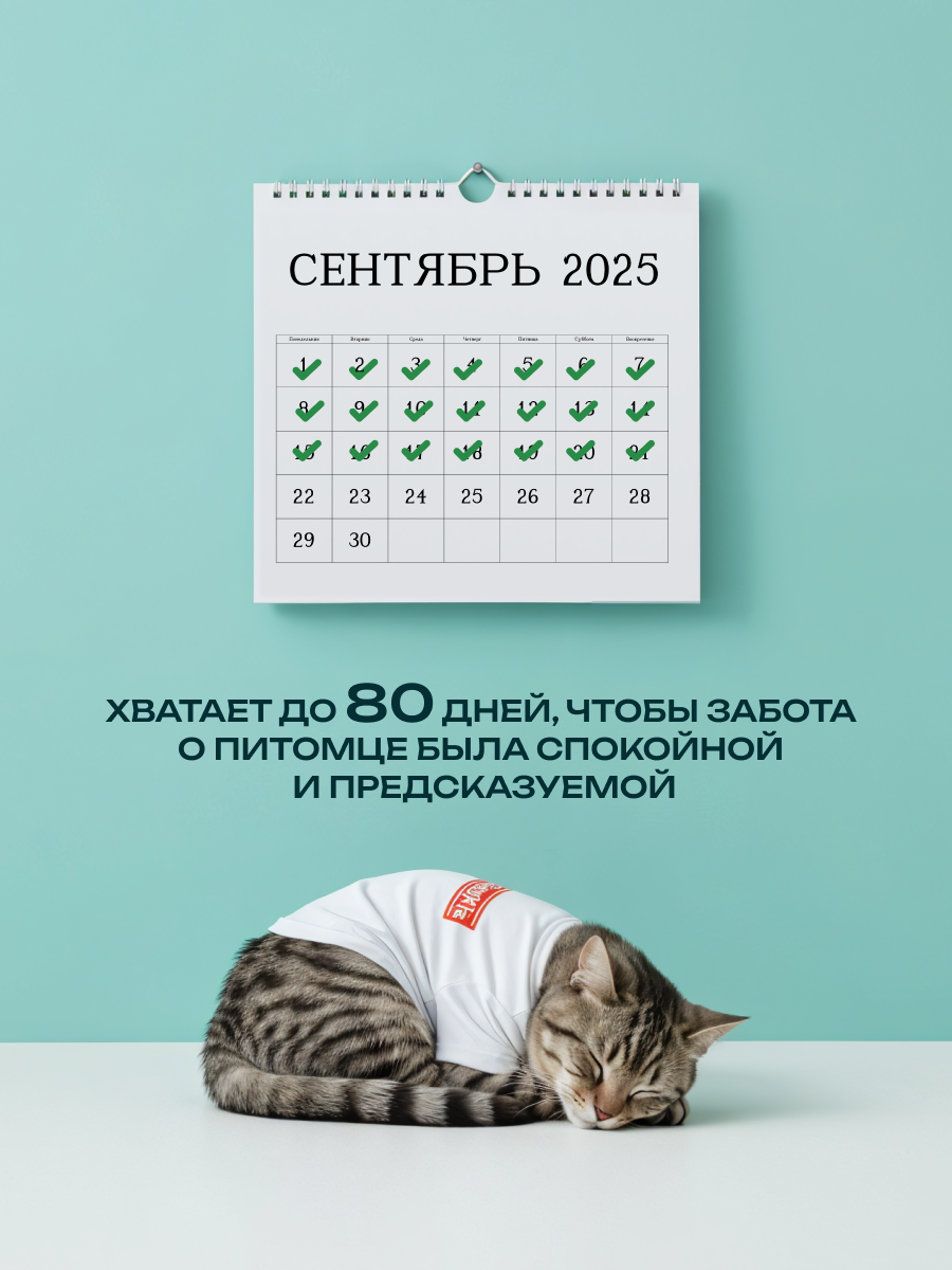 Наполнитель KiesKis Тофу Зеленый чай 13.2 л комкующийся - фото 6