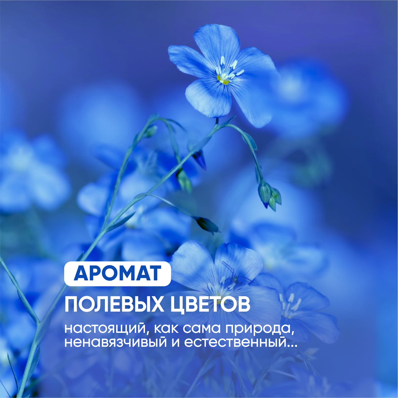 Дозатор SimpleWay - фото 2