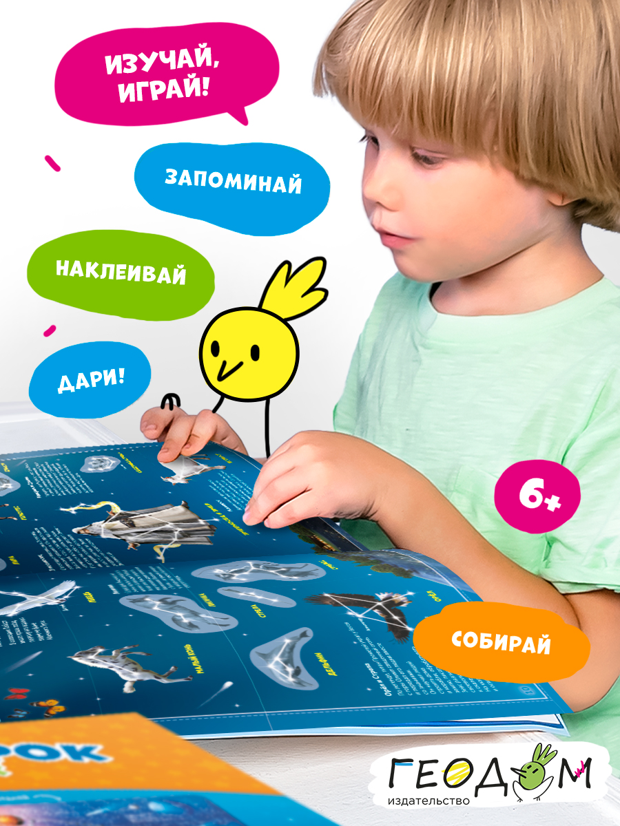Настольная игра ГЕОДОМ - фото 6