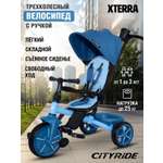Трехколесный велосипед CITYRIDE
