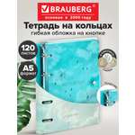 Тетрадь со сменным блоком Brauberg клетка 120 лист.