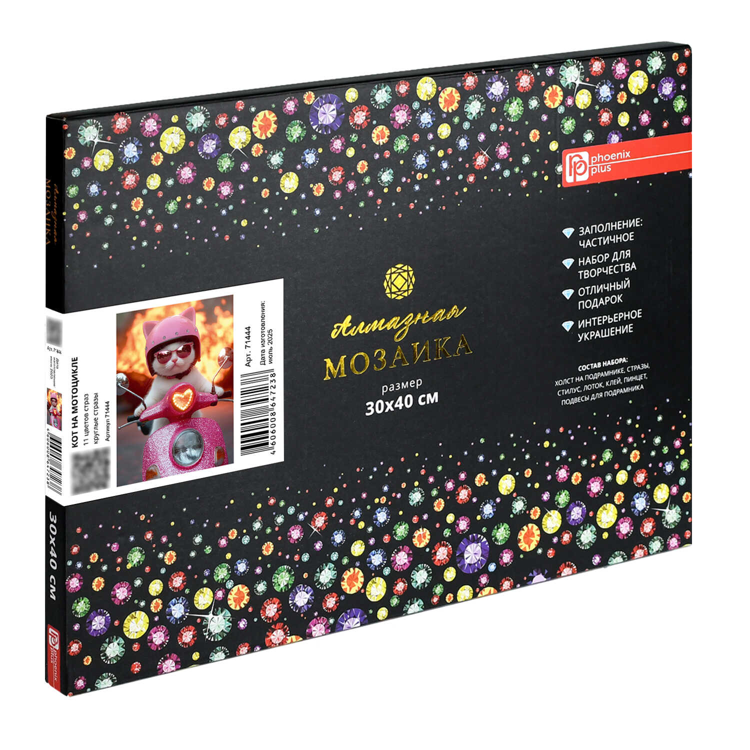 Алмазная мозаика Феникс + Кот на мопеде - фото 6