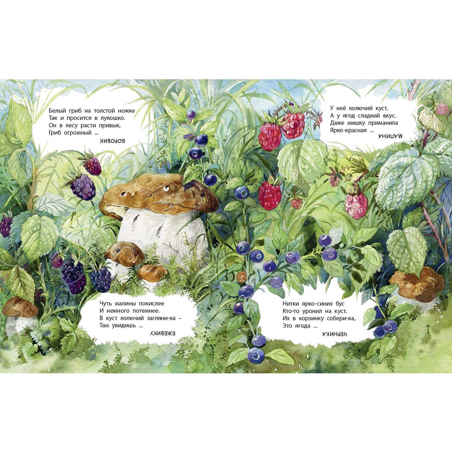 Книга ЭНАС-КНИГА Что найдём с тобой в лесу? Стихи-загадки - фото 6