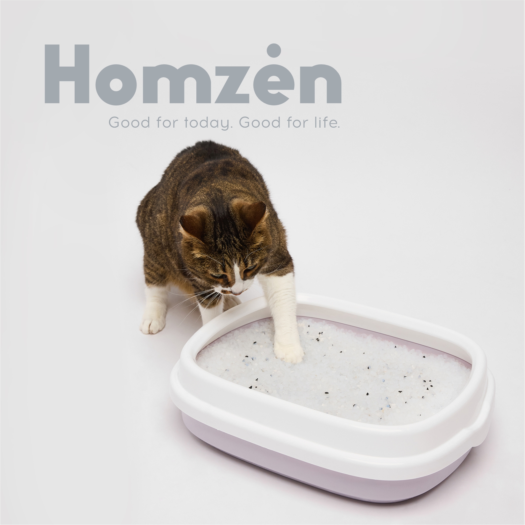 Наполнитель для кошачьего туалета Homzen силикагелевый с активированнным углем 1.5кг 3.8л - фото 3