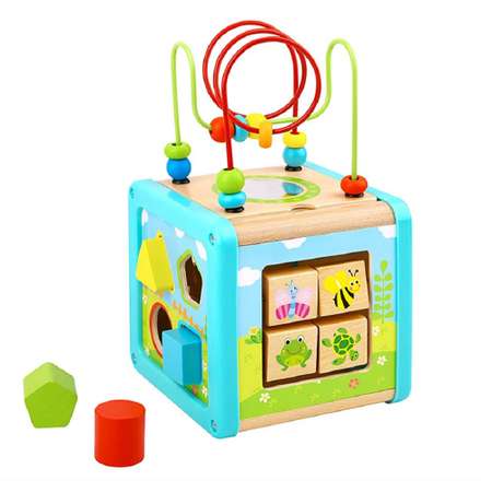 Игрушка Tooky Toy сортер