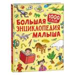 Книга Большая энциклопедия малыша 1000слов