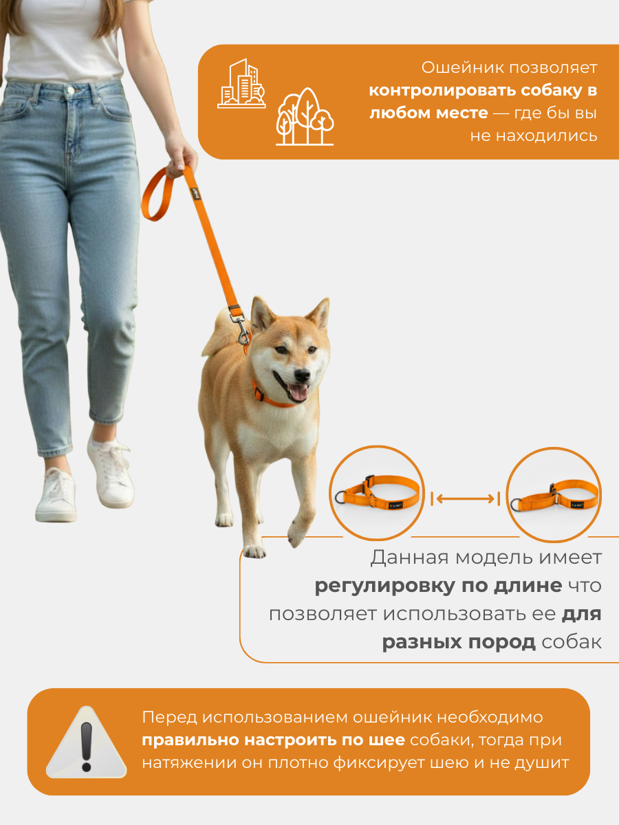 Ошейник для собак Easy Pets 5003 Martingale оранжевый р-р S 30-40см - фото 6