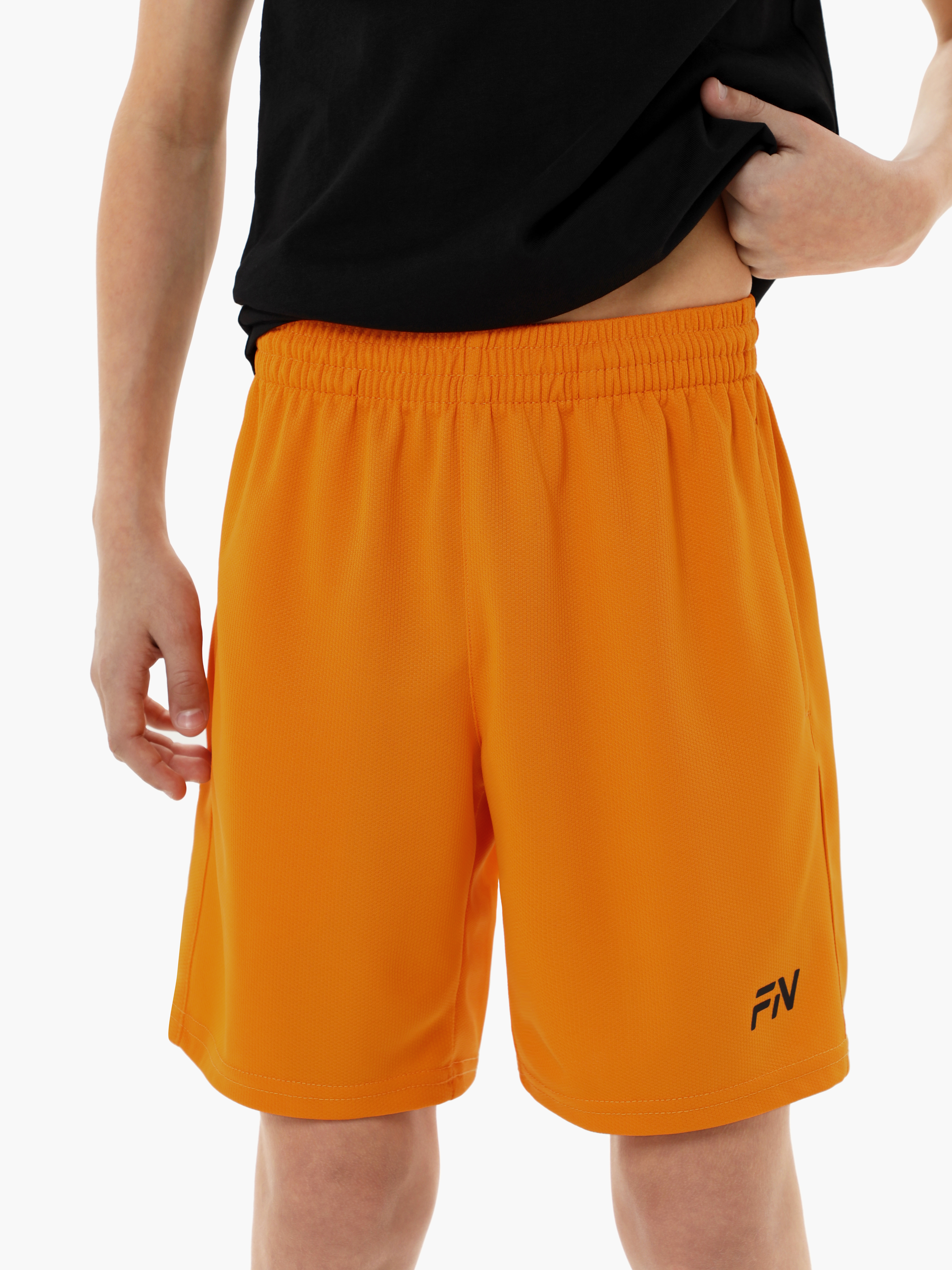 Изображение товара Шорты FN: 116