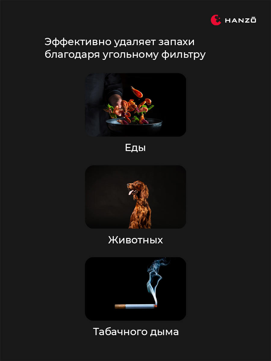 Очиститель воздуха HANZO HANZO Z14 - фото 4