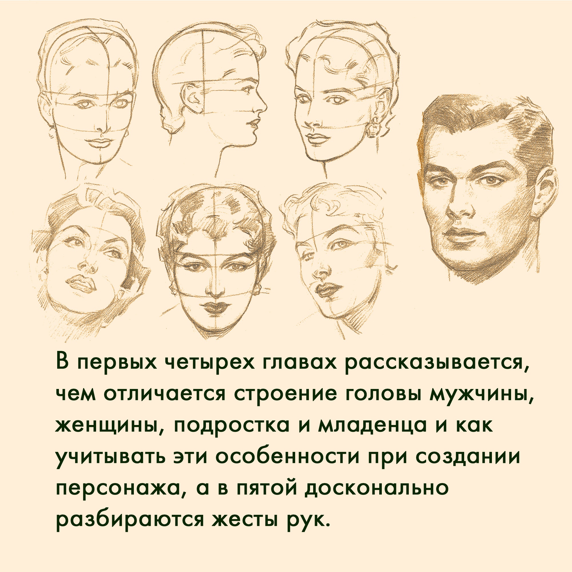 Книга КОЛИБРИ Рисование головы и рук Лумис Э. Серия: пАРТитура творчества - фото 5