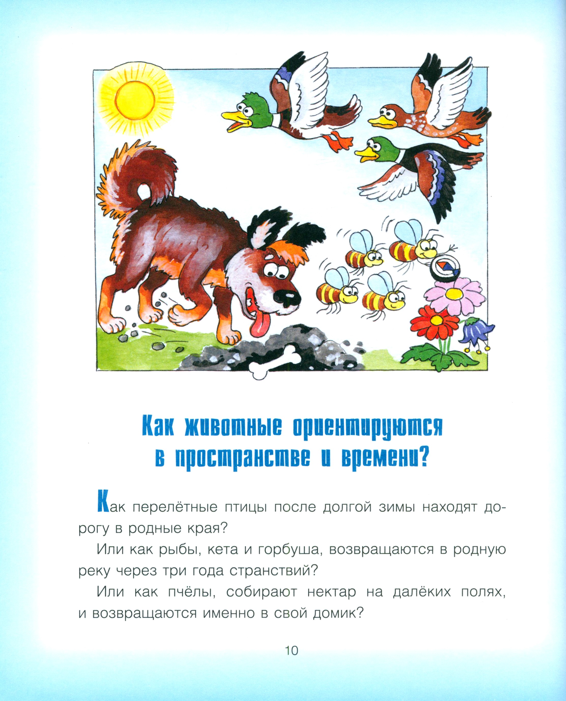 Книга Качели Где у птицы компас. Почемучкины вопросы - фото 4