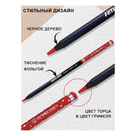 Карандаши цветные ACMELIAE 12 шт.