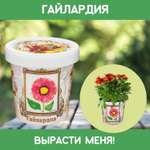 Набор для выращивания Rostok Visa