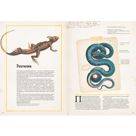 Книга Clever Зоология в картинках. Энциклопедия для детей