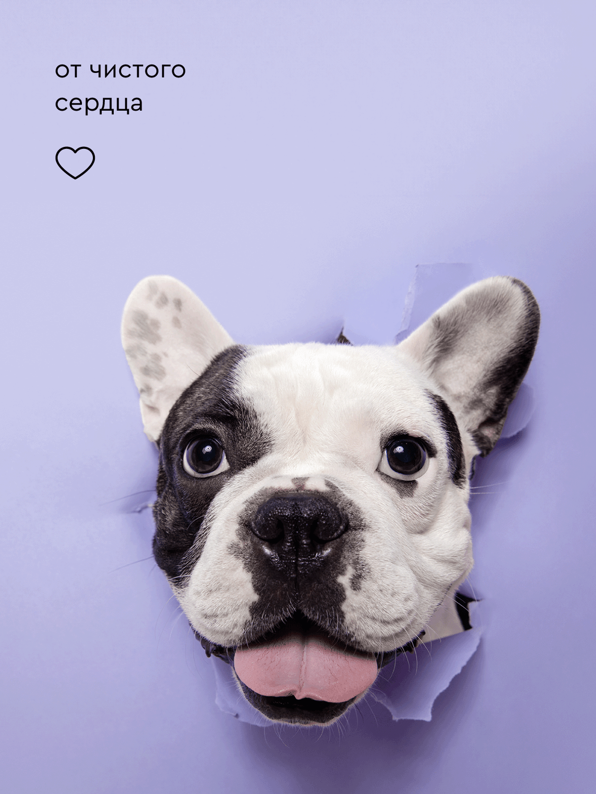 Воск Pamilee для лап - фото 9