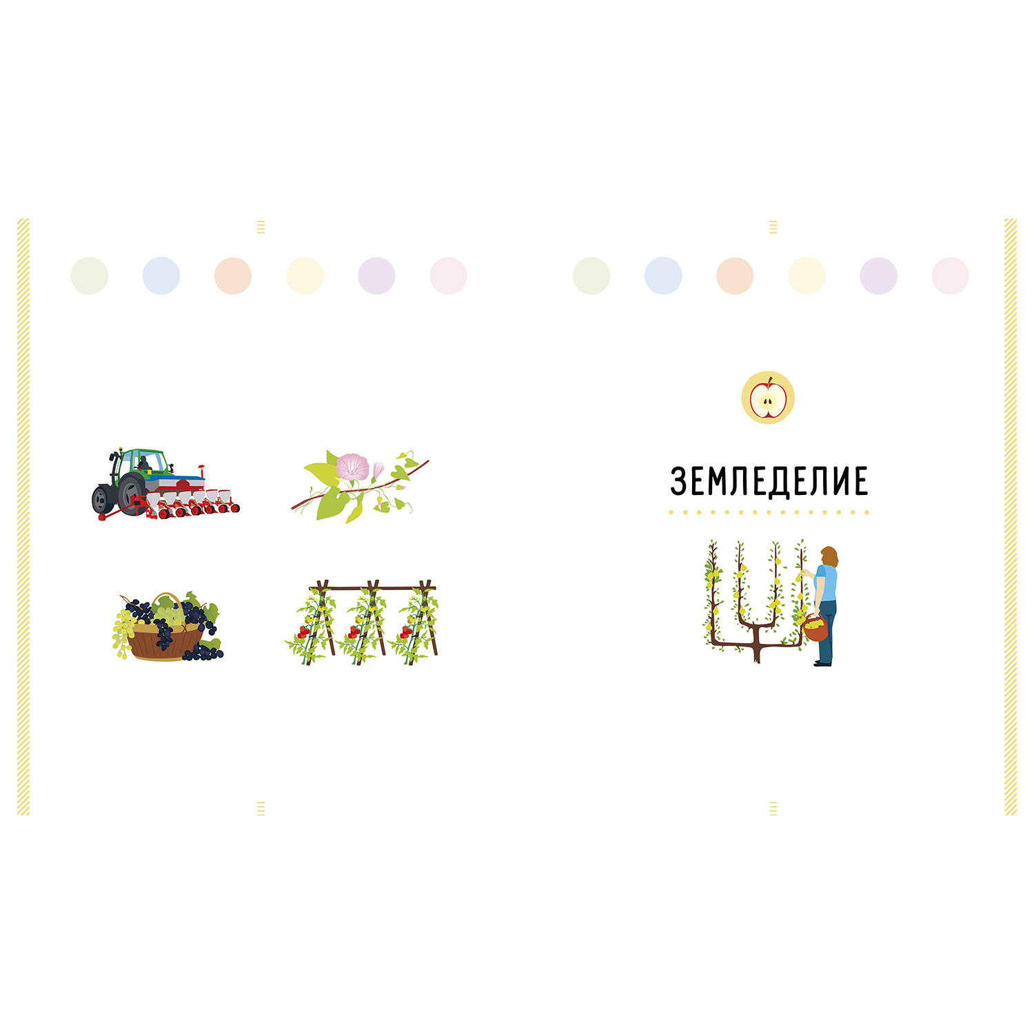 Книга Clever Энциклопедия в картинках Большая энциклопедия На ферме - фото 6