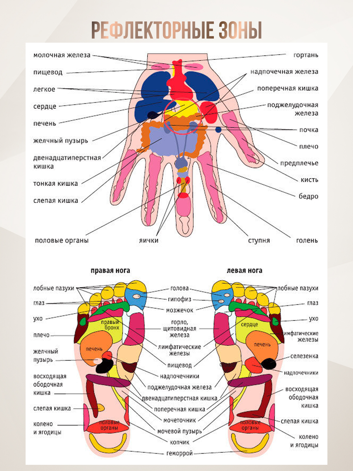 Коврик Perfetto Sport массажный акупунктурный с валиком PS-835 - фото 6
