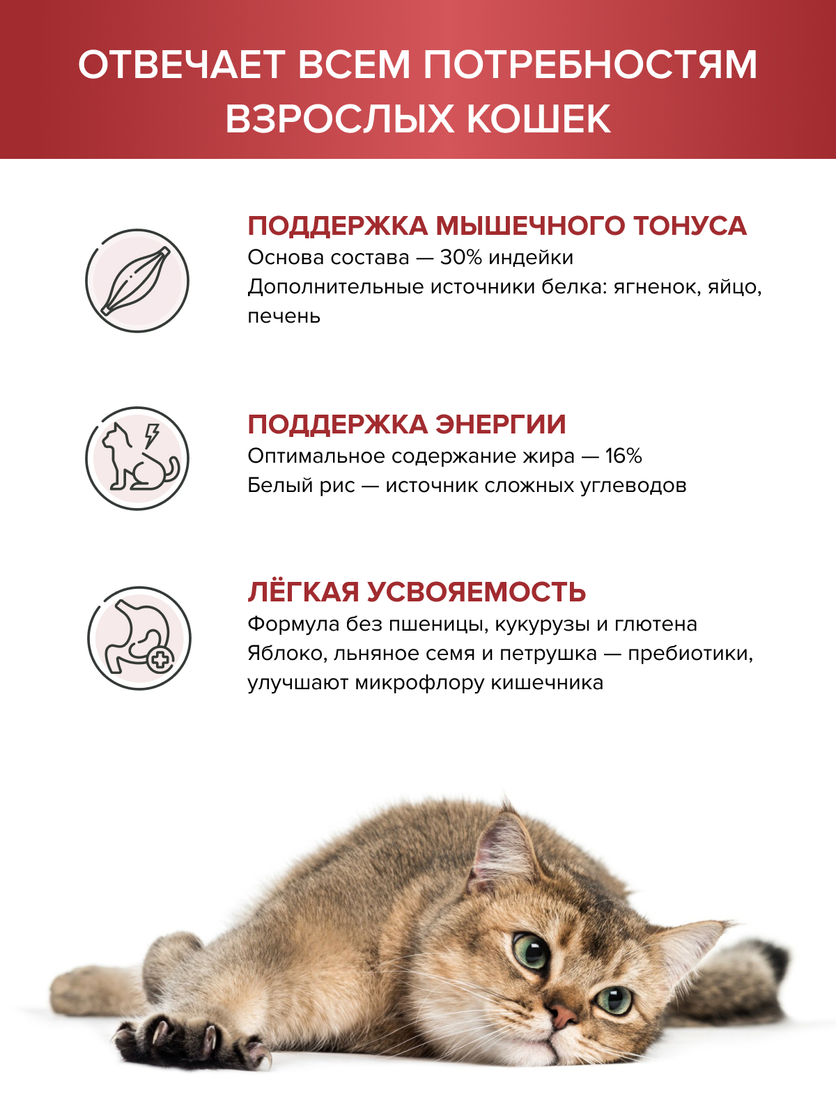 Корм для кошек DOCTRINE сухой с индейкой, ягненком и рисом 3 кг - фото 2