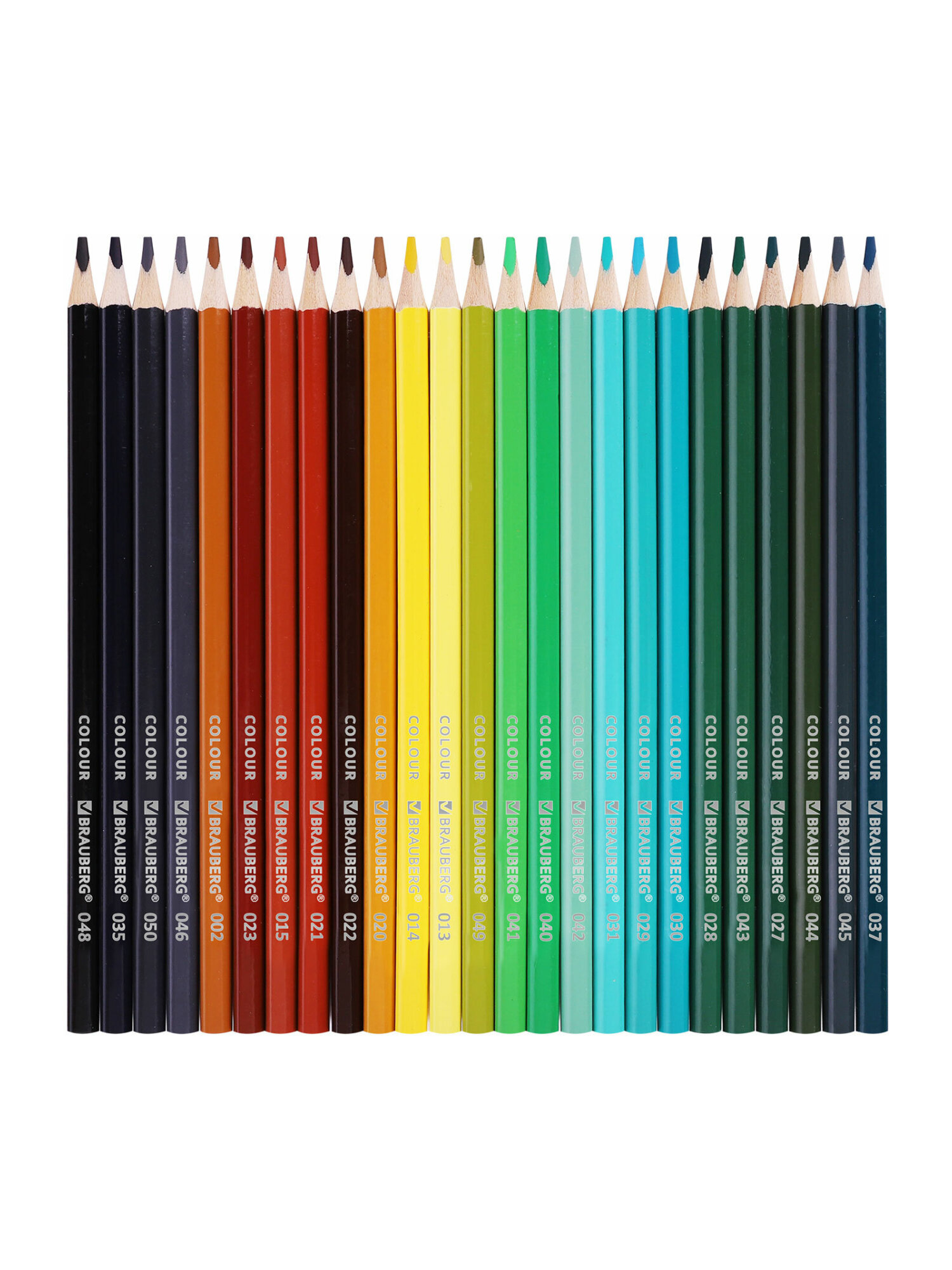 Карандаши цветные Brauberg 50 шт. - фото 13