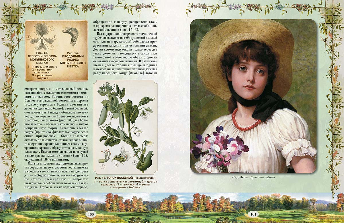 Книга Белый город Из Зеленого Царства. Популярные очерки из мира растений - фото 6