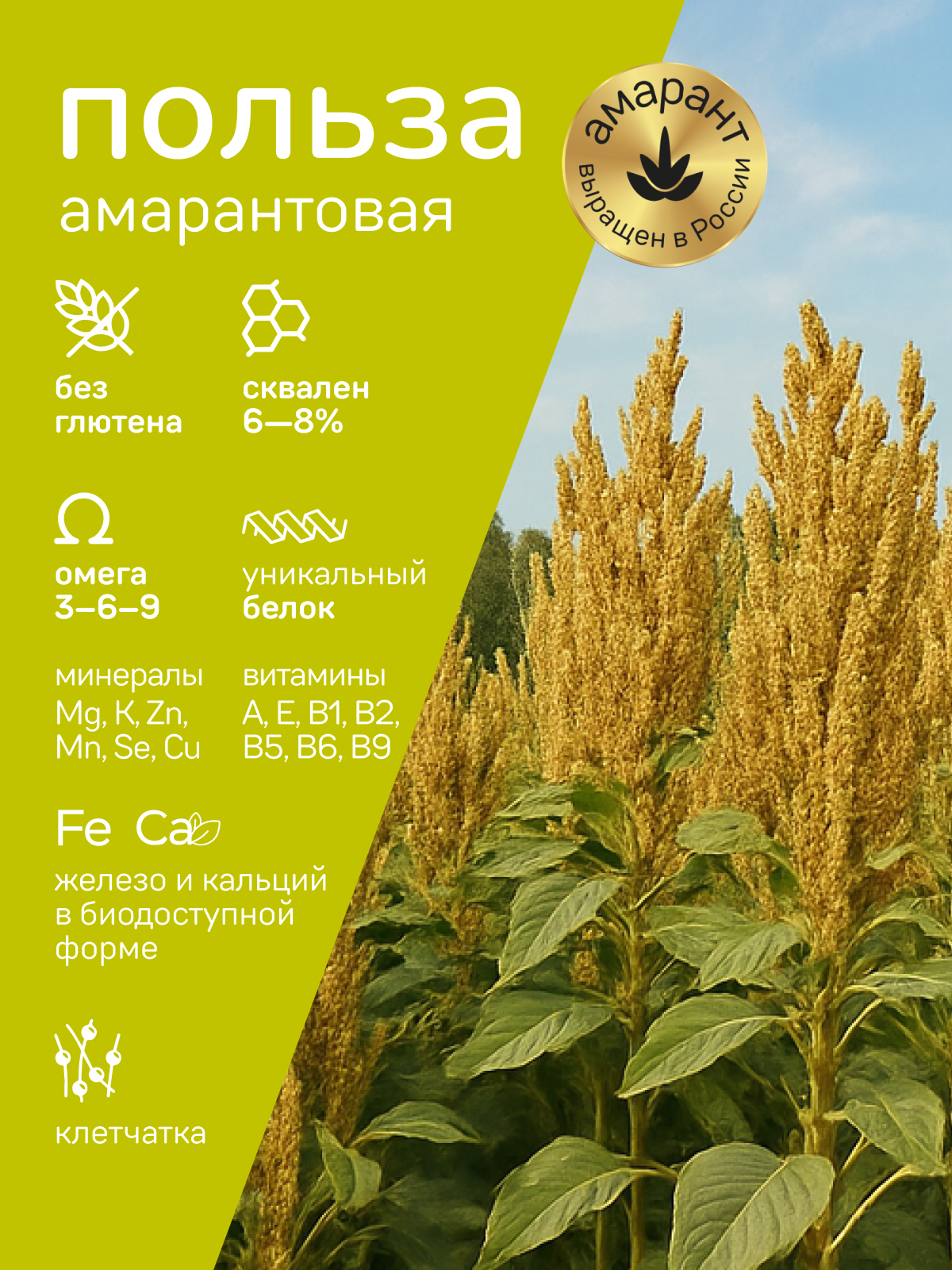 Амарантово-гречневая каша Amarancho с грибами и жареным луком - фото 4