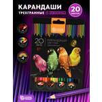 Карандаши цветные SCHOOLFORMAT 20 шт.