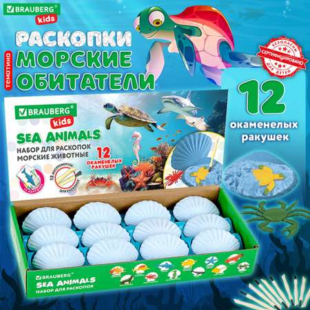 Набор для раскопок Brauberg