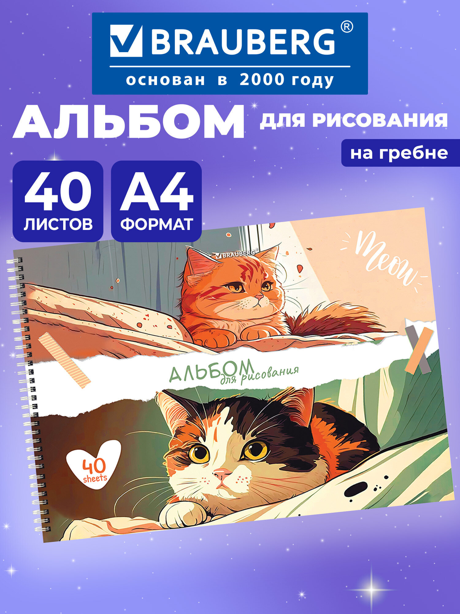 Альбом Brauberg А4 40 лист. - фото 1